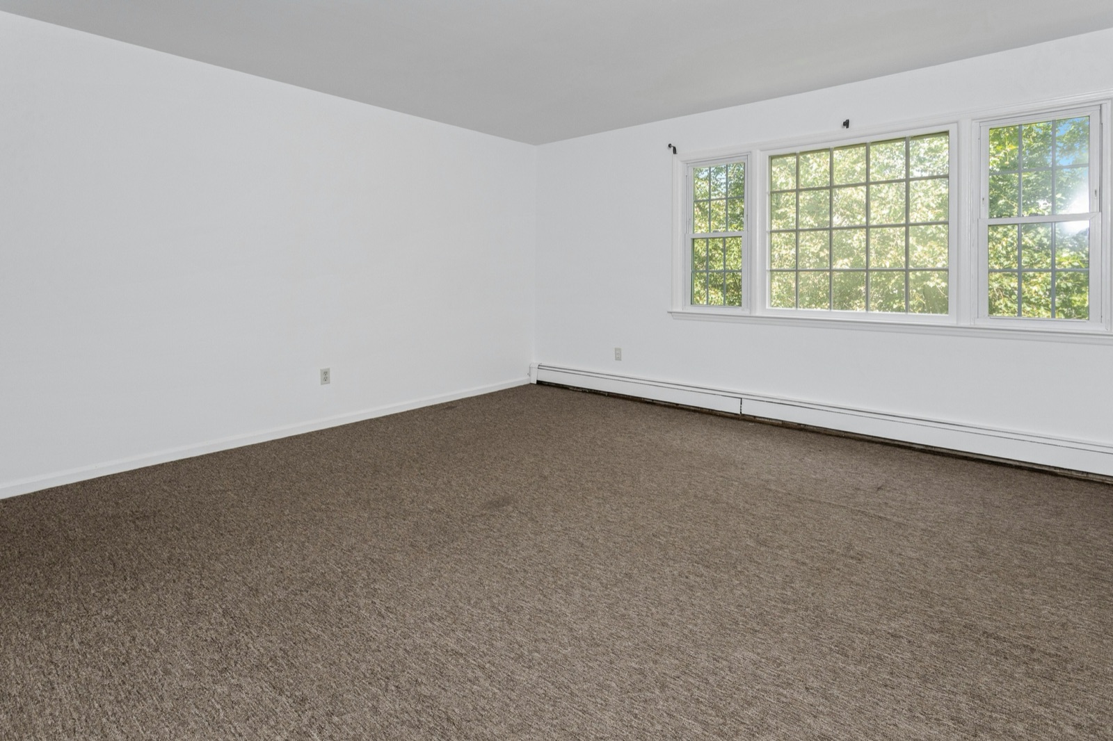 171.5 Henry Street — Unit B 3
